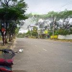 Bán đất đường 15m trần hữu dực, bãi tắm tân trà, 5x18m, gần chợ đông hải
