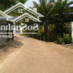 Chính chủ cần bán lô đất phường khánh xuân, 10x41 80m2 thổ cư, giá chỉ 1 tỷ 450 tl, lh: 0388668882