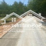 Bán đất tại dh507, an linh, phú giáo, 500 triệu, 242 m2, giá cực chất