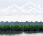 Bán ô đất giáp biển gần hạ long xanh. hơn 4000m2 có (1400m thổ cư)