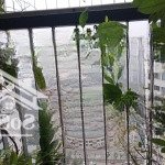 Bán nhanh căn hộ 3 phòng ngủ - 96m2 tại toà c vinaconex 2 kim văn kim lũ