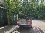Hot! nhà mới 4 lầu, có gara xe hơi. 4,5mx18m, vị trí đẹp nhất phạm văn chiêu chỉ 8,9 tỷ