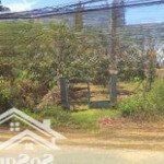 Bán đất mặt tiền đường duyên hải long hoà cần giờ