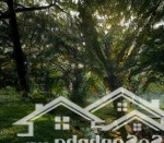 Bắt đáy giá tốt - căn hộ cao cấp celadon city - chỉ thanh toán 20% nhận nhà! liên hệ 0968.90.39.39