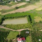 Bán đất 1,1 hecta khu công nghiệp phượng sơn thị xã chũ lục ngạn bắc giang 0982188151