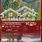 Biệt thự song lập có chính sách về ở sớm view hồ qt2-36 quý tộc vũ yên (16.697 tỷ) diện tích 180 m2