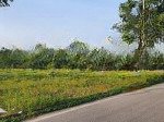 Bán biệt thự tại khu đô thị thanh hà mường thanh, giá thỏa thuận, 240m2, 6pn, 4wc