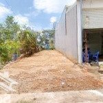 Chính chủ bán đất 645tr rẻ nhất thới hòa, bến cát, bình dương. diện tích 150m2. shr sang tên ngay