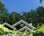 Bán biệt thự phúc lộc viên hướng tây bắc nội thất đẹp giá 10.5 tỷ - toàn huy hoàng