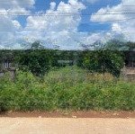 Bán vườn đường nhánh an linh, phú giáo, bình dương, giá ưu đãi 315 triệu, 250m2 sẵn thổ cư