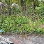 Bán đất tại thị trấn an dương, an dương, hải phòng, 23,5 triệu / m2, 121,7 m2 uy tín giá cực chất