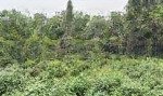 Dt 470 m2 hai mặt tiền tại ba trại, ba vì, hà nội. giá 2,x tỷ