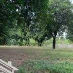 Chính chủ bán lô đất vuông vắn 2 mặt tiền, đường bê tông, oto tránh, vị trí đẹp, tiềm năng lớn
