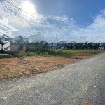 Mua đất tặng 1 chỉ vàng! đất odt giá đúng 260tr/ 125m2, ven kcn, dân cư hiện hữu thạch quảng-th