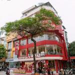 Cho thuê mbkd lô góc trần đại nghĩa 200m2x5 tầng, mt 25m kinh doanh mọi mô hình.