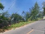 Cho thuê nhà vườn (1000m2), mặt tiền nguyễn hữu cảnh, p10 - cách biển 300m