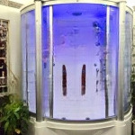 Bán nhà ngô đình mẫn - nhà mới koog, 5 tầng 3 ngủ đủ công năng, đón đầu tương lai 33m 3.65 tỷ