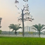 Chính chủ cần bán gấp lô liền kề a2.4 lk11 ô 9 kđt thanh hà cienco 5 hà đông, hà nội, giá đầu tư