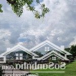Nhà phố kinh doanh đẳng cấp tại ecopark tặng nội thất cao cấp!
