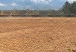 Bán đất tân lợi đồng phú mặt tiền đường nhựa gần khu công nghiệp