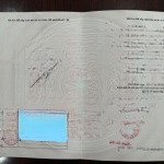 Cần bán 2 lô đất sào mặt tiền bao la phân nền hợp lý