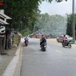 Bán đất tặng nhà cấp 4 phường an phú đông quận 12
