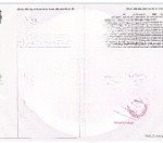 Bán gấp 2 lô đất gần uỷ ban châu pha- tp phú mỹ - mỗi lô giá chỉ 1ty250
