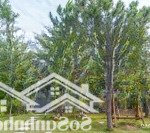 Cần bán biệt thự đơn lập 230m2 flamingo đại lải resort 2pn giá 7 tỷ full nội thất. lh 0962202555