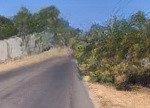 Bán vài mảnh đất mặt tiền đường nhựa xã tiến thành, thành phố phan thiết, gần novaworld