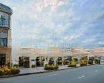 Bán shophouse mặt tiền đường mê linh gần ngày chung cư origaden