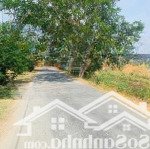 Chính chủ gửi 225m2 (7,5m x 30m) đất thổ, đường xe hơi, giá rẻ, kết nối tphcm chỉ 17km