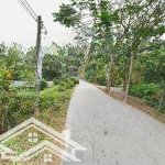 đất đẹp giá tốt - chính chủ cần bán nhanh lô đất tại xã quy đức, bình chánh, hcm