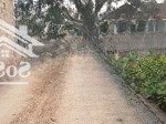 Bán đất thủy xuân tiên giá rẻ. diện tích 125m2 mặt tiền 5m giá chỉ 1,8 tỷ