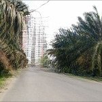 Bán nền đất khu khu 13e trục đường lớn 40m. gía bán: 64tr/m2. dt: 140m2