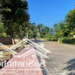 Cần bán nhanh lô đất 241 m2 mặt đường tỉnh lộ 446 thuộc xã yên bình, thạch thất, hà nội