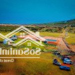Bán đất đối diện khu du lịch trải nghiệm mian farm bình thuận, phù hợp kinh doanh home stay