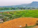 Siêu phẩm nghỉ dưỡng view đẹp bám cánh đồng xanh mướt, hàng xóm với dự án nghỉ dưỡng