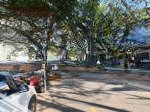 đất mặt tiền phạm thị tân, trung tâm phường phú lợi; 2 lô liền kề dt 6.3mx12.8m, thổ cư 60m