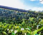 Biệt thự song lập waterpoint - view kênh đào, số lượng giới hạn. giá bán 7,1 tỷ