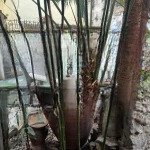 Bán nhà riêng tại khu chung cư ngô thì nhậm, 60 tỷ vnd, 333m2, 1pn, 1wc