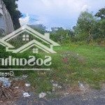 Gia đình cần bán miếng đất trảng bàng, tây ninh 303m2 thổ 100m2, srh, công chứng ngay