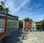 đất nhà vườn phước lâm - cần giuộc: 608m2 (ngang 18m x 33m) sẵn vườn cây ao cá các loại ngay ql50b