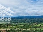 Sở hữu ngay 1220m2 đất view săn mây cực đẹp tại lộc bắc, chỉ 750 triệu, ngân hàng hỗ trợ vay 50%