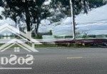 Chương dương, rẻ nhất thị trường, 16 tỷ