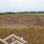 Chủ dân địa phương cần tiền lo cv gia đình gửi em bán gấp lô đất xã phú hữu cách phà chì vài km