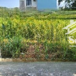 Chính chủ bán nền kdc đặng huỳnh, 90m2 sát ql50, cần giuộc