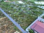 Bán đất 1 sẹc quốc lộ 1a, giá 900 triệu, cách chợ trà cổ 800m