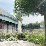 đất đẹp miễn chê tại gò công, 103m2, sổ hồng chính chủ, công chứng trong ngày
