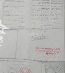 Mặt tiền đường số 6, 37m x 118m (100m2 thổ). 4,5 sào phủ hồng