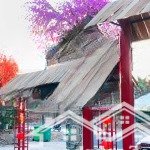 Bán đất chính chủ đã bao gồm nhà hiện đại diện tích 7.737m2 mặt tỉnh lộ 825 tại đức hòa, long an